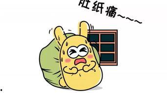 吃瓜群众宝贝,网络红人的崛起与影响力